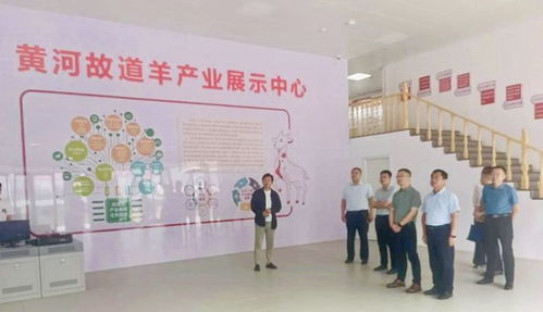 山東省人社廳赴單縣調(diào)研，推動羊肉湯專項職業(yè)技能培訓品牌化與規(guī)范化發(fā)展